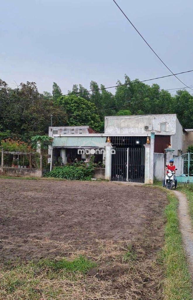 Bán gần 900m2 đất sổ riêng có 283m2 odt tại phường tân triều. 1,55 tỷ - 2