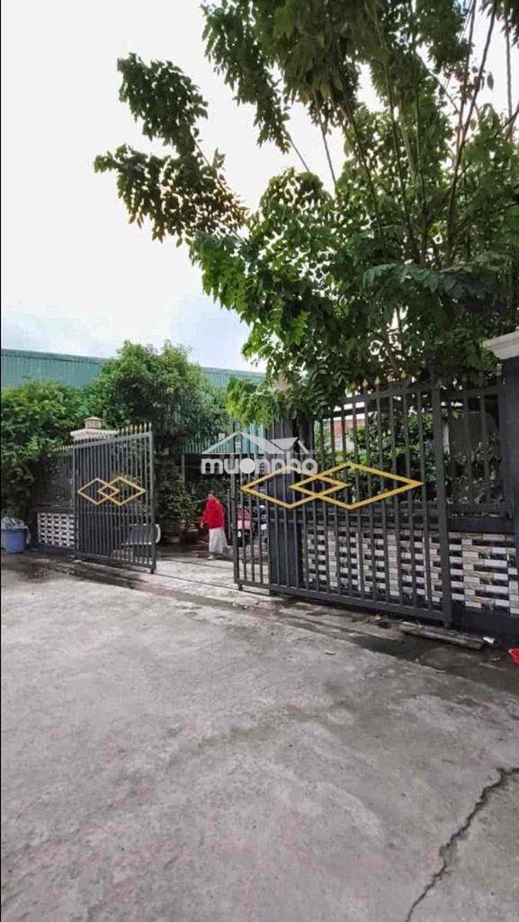 🏡 Nhà cấp 4 – đất rộng 210m² – giá chỉ 4.2 tỷ 📍 tân đông hiệp, dĩ an