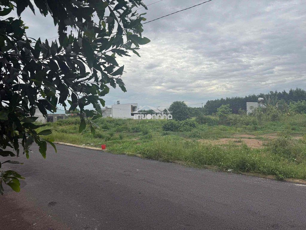 Bán đất chính chủ - 3