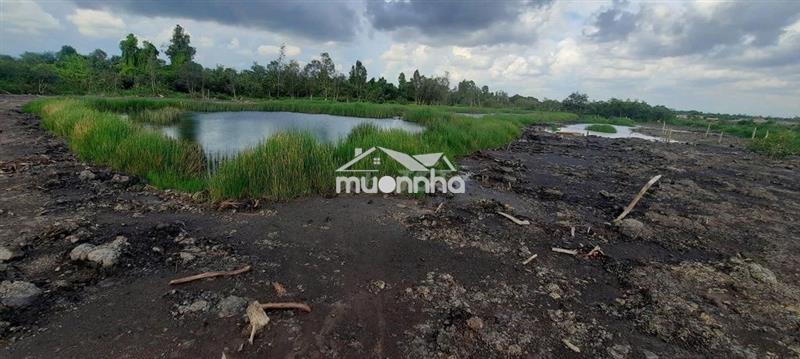 Cần bán đất nông nghiệp