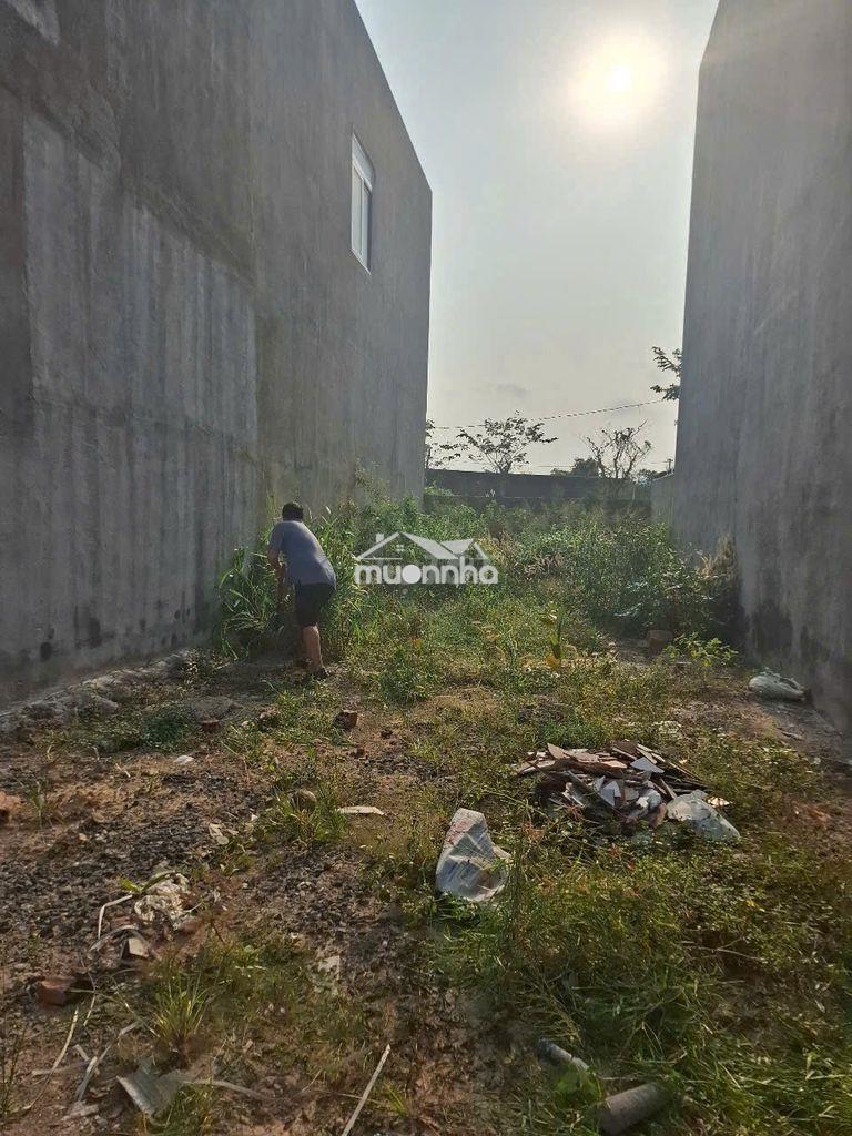Ngợp ngợp 🌟 cơ hội sở hữu đất gần biển phước hải – giá 850tr - 3