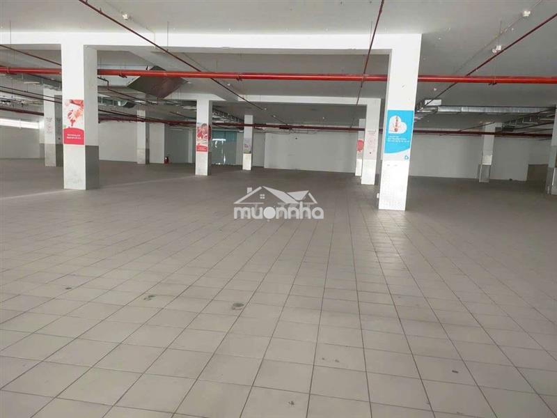 Cho thuê sàn văn phòng, kho chứa hàng mặt tiền quận 6