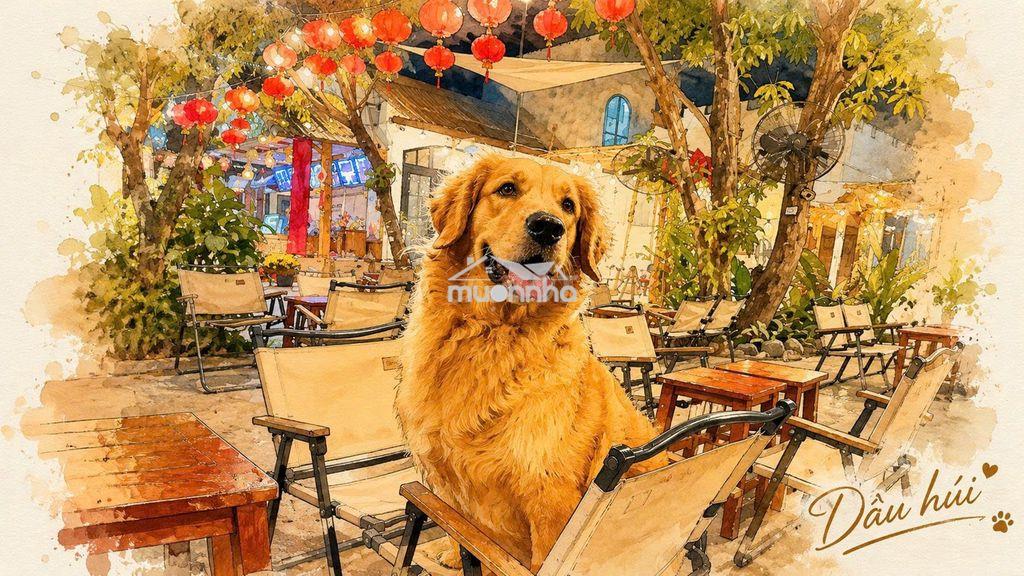 Gồng hết nổi bán đất  - 2