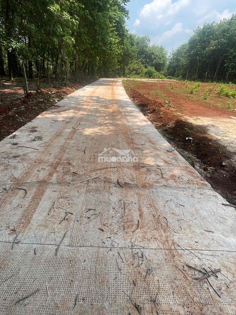 Ngộp bán nhanh 5x58m2 sẵn 50 thổ cư cách ql13 chỉ 600m - 4