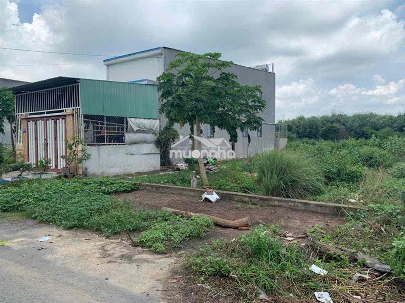 Đất chính chủ