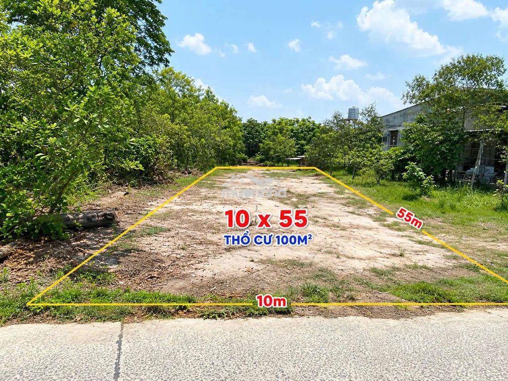 Chỉ 180tr có ngay 1 lô đất thổ cư ngay khu dân cư đông. - 4