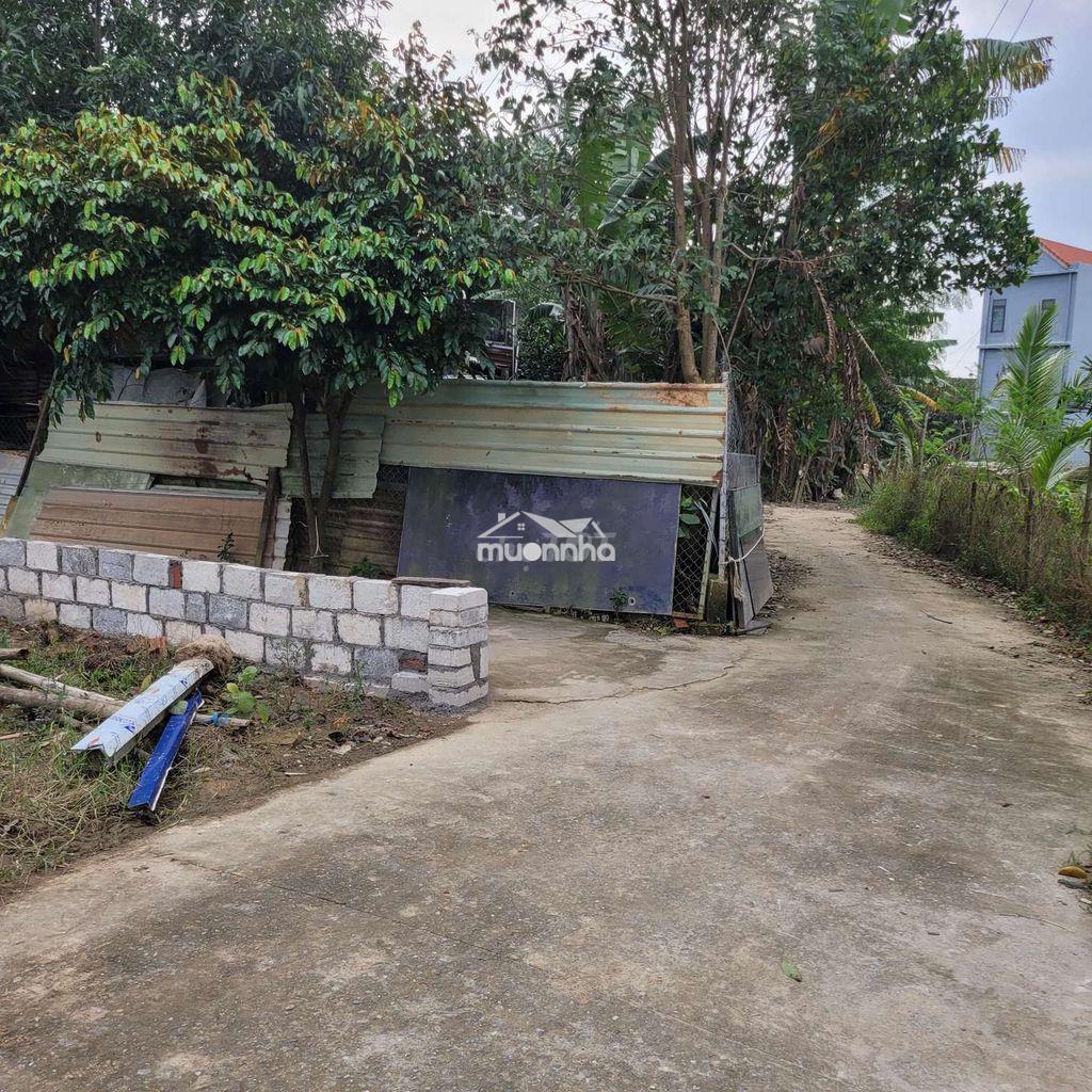 Bán đất trước chợ hòa thọ tây cẩm lệ đà nẵng - 3