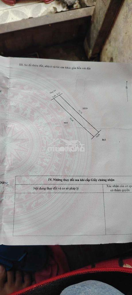 Đất vườn xoài gần chợ khu dân cư - 4