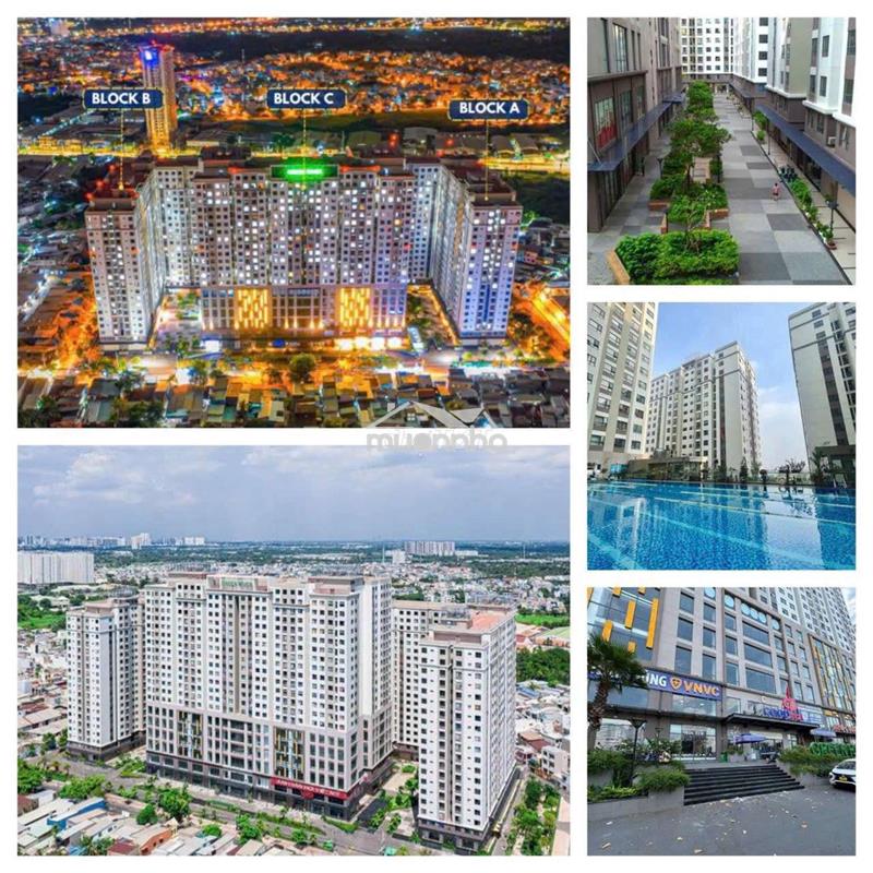 Bán căn hộ green river f6 q8