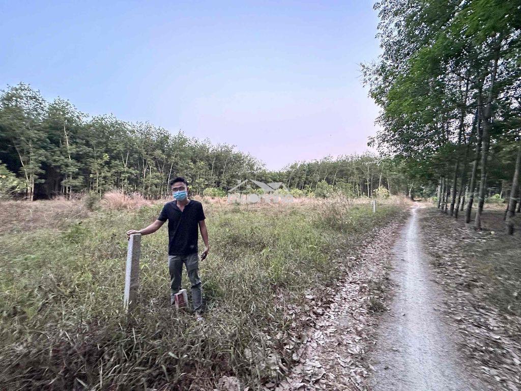 Chủ bán lô đất sào - 1.200m2 - 2