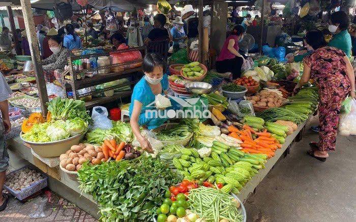 Nhượng lại đất giá rẻ - 3