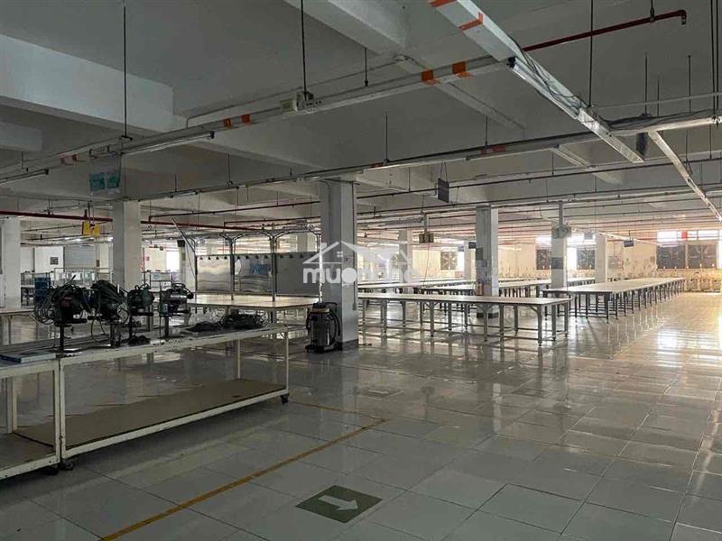 Cho thuê tầng trệt nhà xưởng kcx tân thuận
