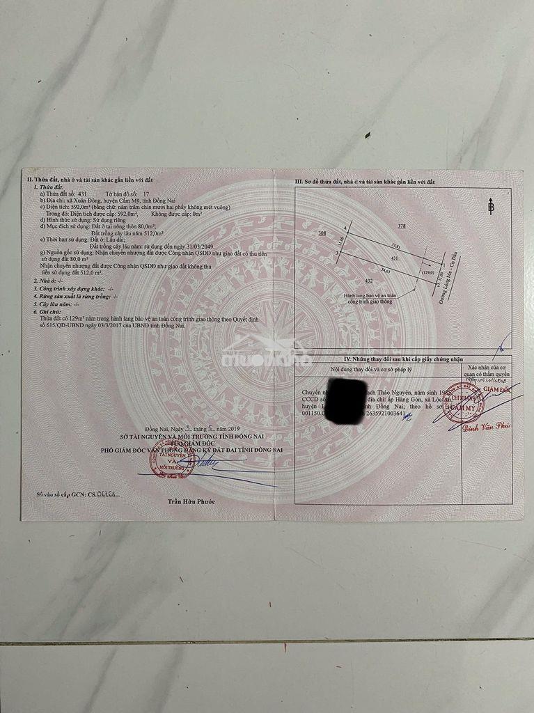 Đất cẩm mỹ cần bán - 3