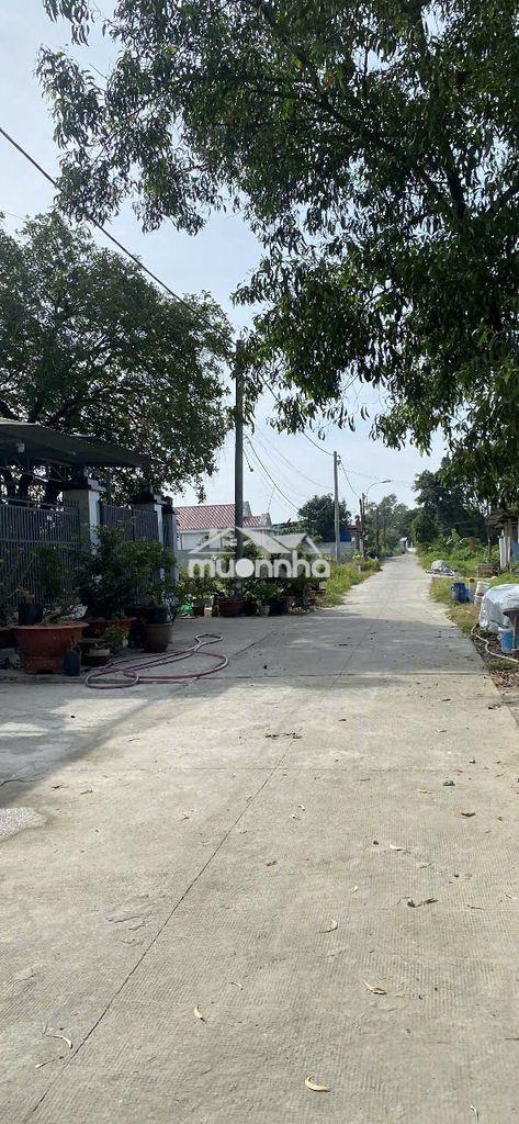 Cần bán gấp đất bình mỹ, củ chi - 2