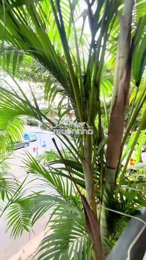 Bán căn hộ bàu cát q. tân bình, 42m2 lầu 1 - giá 2,6 tỷ - 3