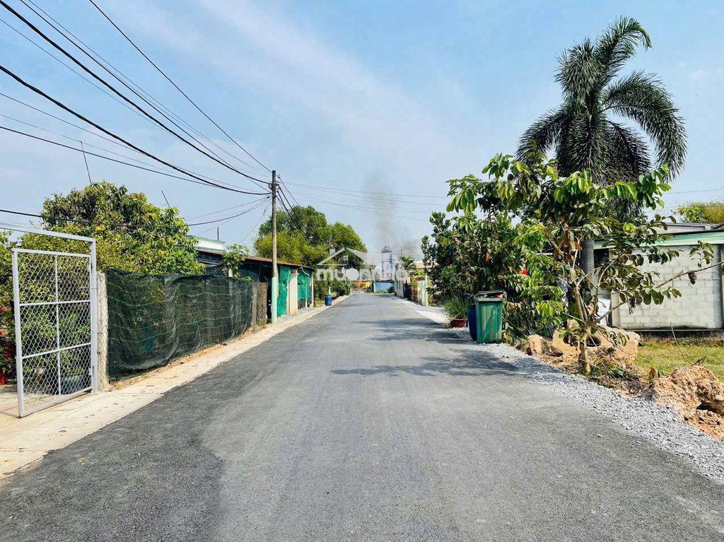 Cần bán lô đất tân an hội củ chi 500m2 ngang 13x38m, sổ hồng riêng - 4