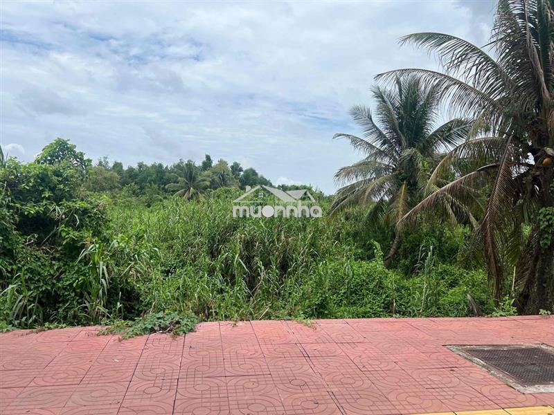 Ngân hàng thanh lý lô đất full thổ cư mặt tiền đường võ văn kiệt