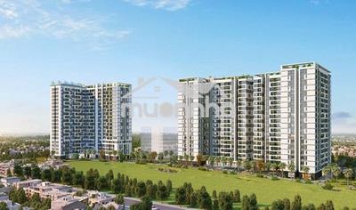 Cần cho thuê nhiều căn hộ tại chung cư botanica premier