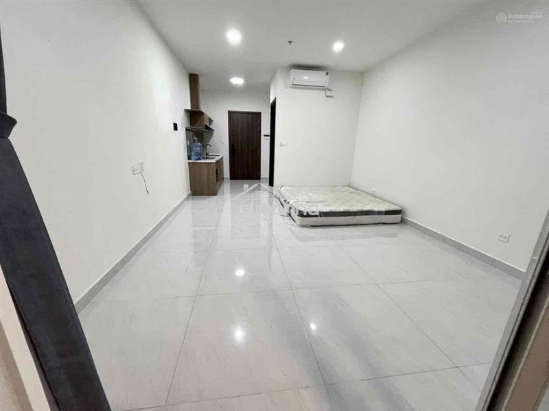 Cho thuê chung cư sunrise riverside 1pn 8tr