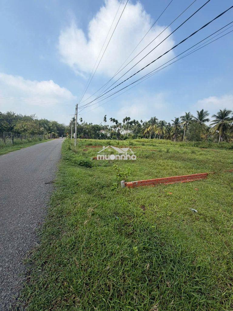 Chủ gởi lô đất gia lộc, trảng bàng, tây ninh - 3