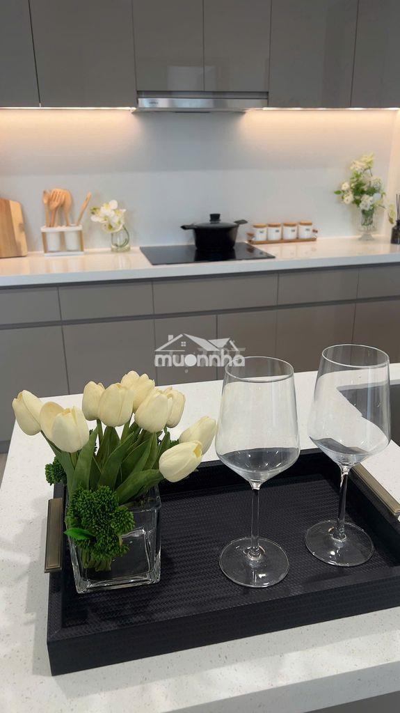Cho thuê đa dạng căn hộ từ studio-1pn-2pn-3pn giá từ 4,5tr đến 25tr. - 3