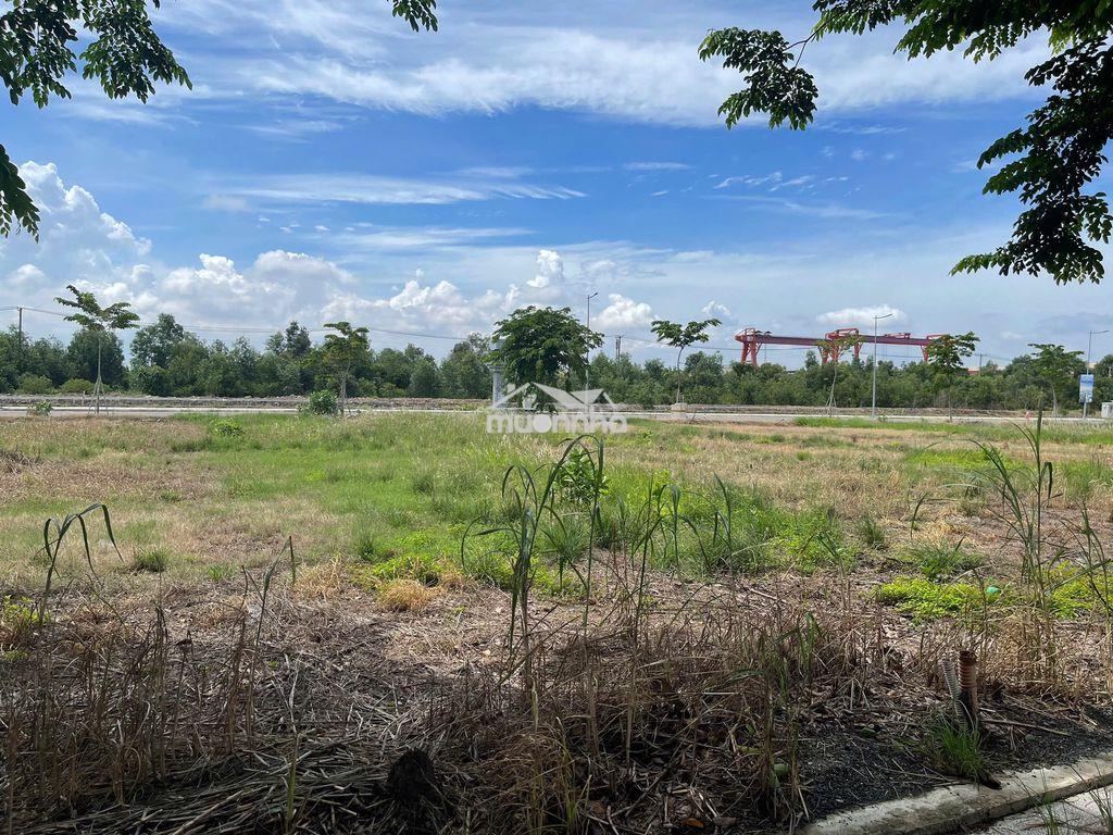 Bán đất 90m2 dự án ora park đức hòa, trả trước 20%, sổ sẵn - 3