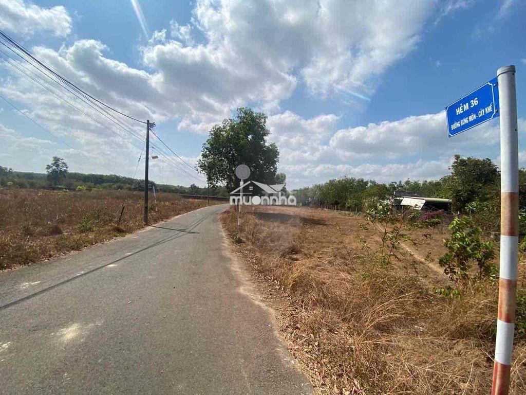 Đất đẹp giá hời - long thành, đồng nai - 2