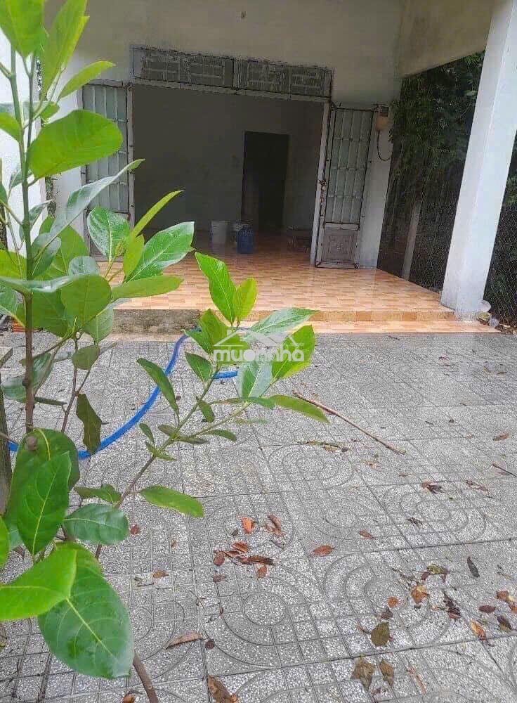 Bán nhà mặt tl6, an nhơn tây, củ chi - diện tích 500m2, thổ cư 120m - 4