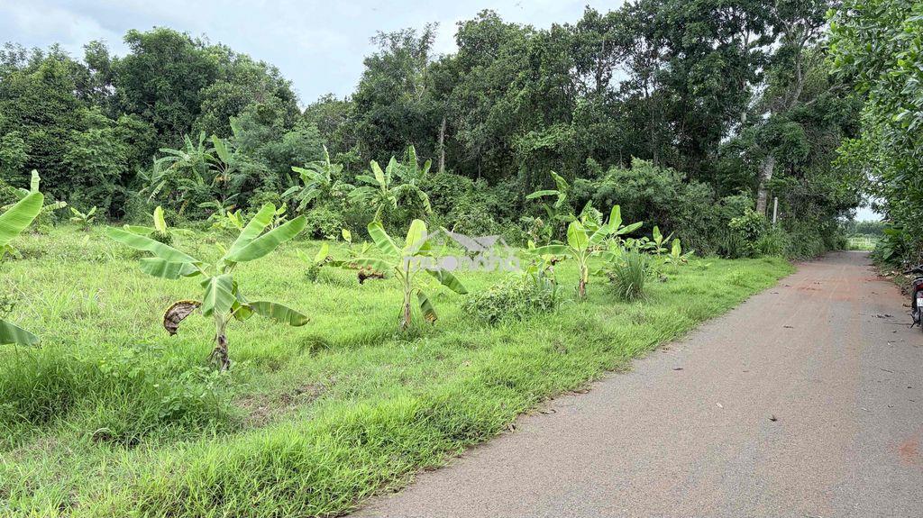 Đất suối nghệ đường nhựa ô tô 3,7 sào chỉ 3 tỷ, đất chính chủ - 2