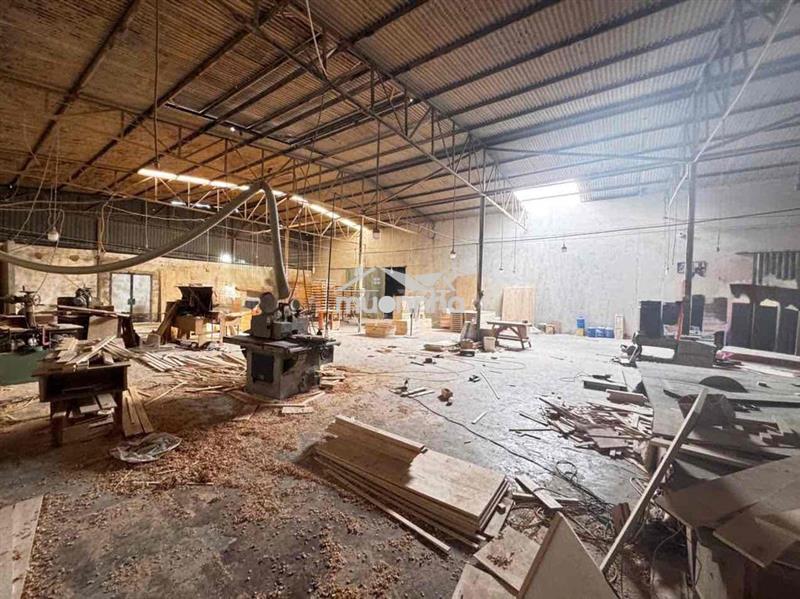 Nhà xưỡng sổ riêng 1000m2 giá rẻ đang cho thuê