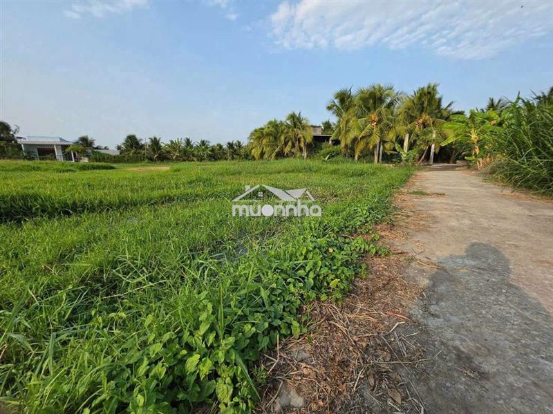Nền 341m phường phú tân cũ qui hoạch đất ở hẻm oto