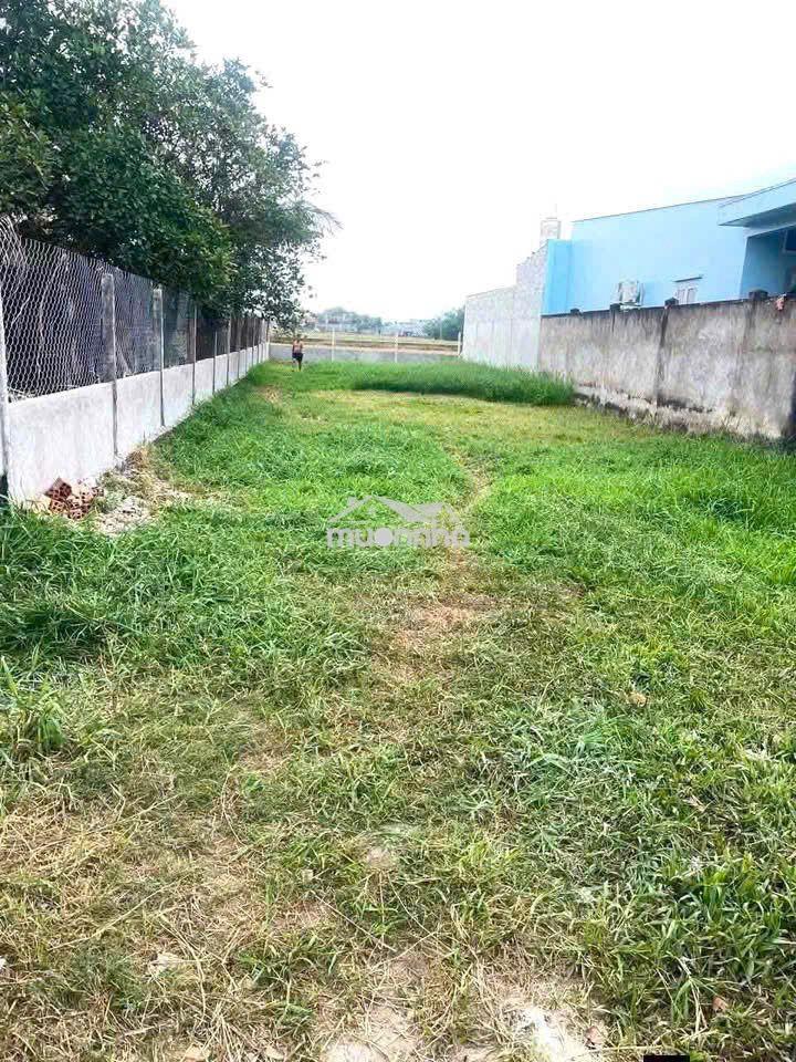 Bán tháo bán lỗ - 2
