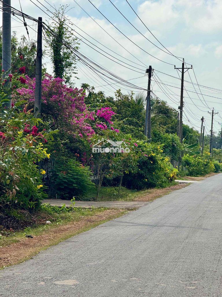 Bán đất thổ cư tp.long khánh - 2