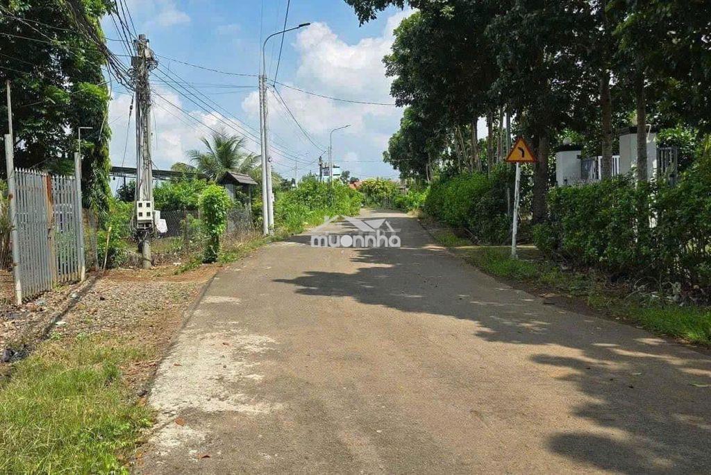 Đất vườn thổ cư cần bán gap - 3