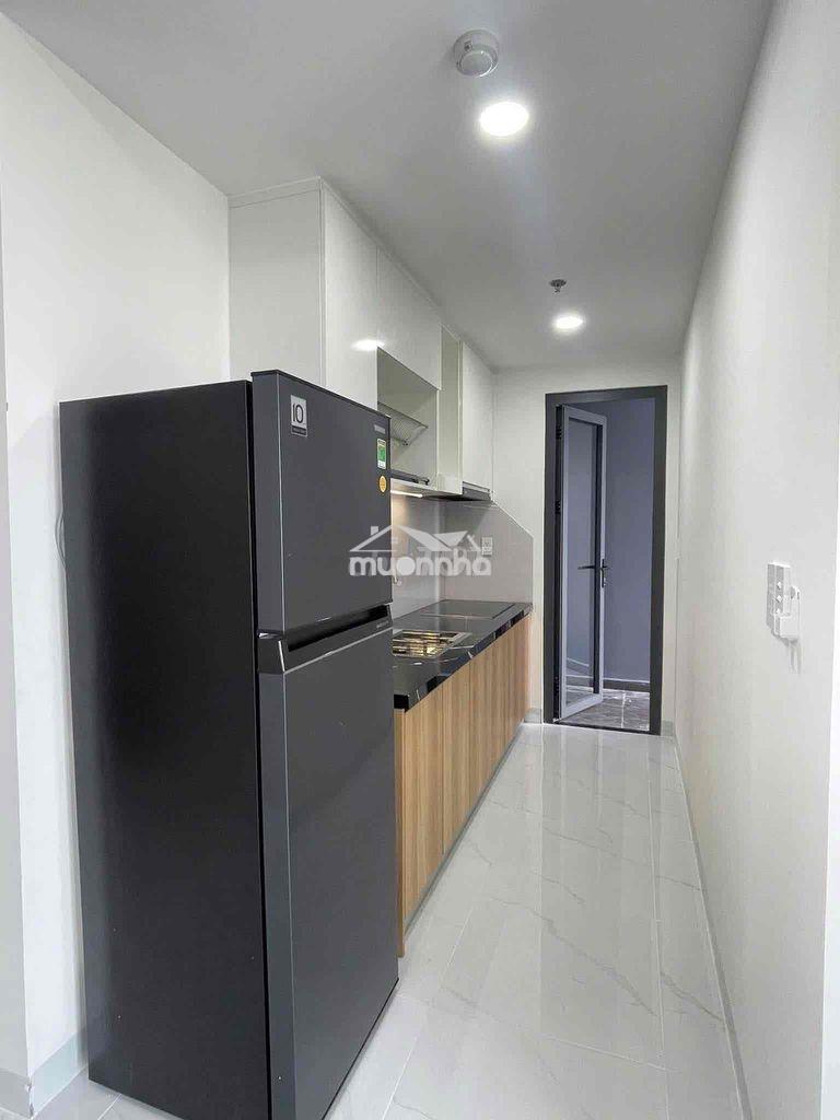 Cho thuê căn hộ phú mỹ c2 p. phú mỹ , tp mới , bình d - 3