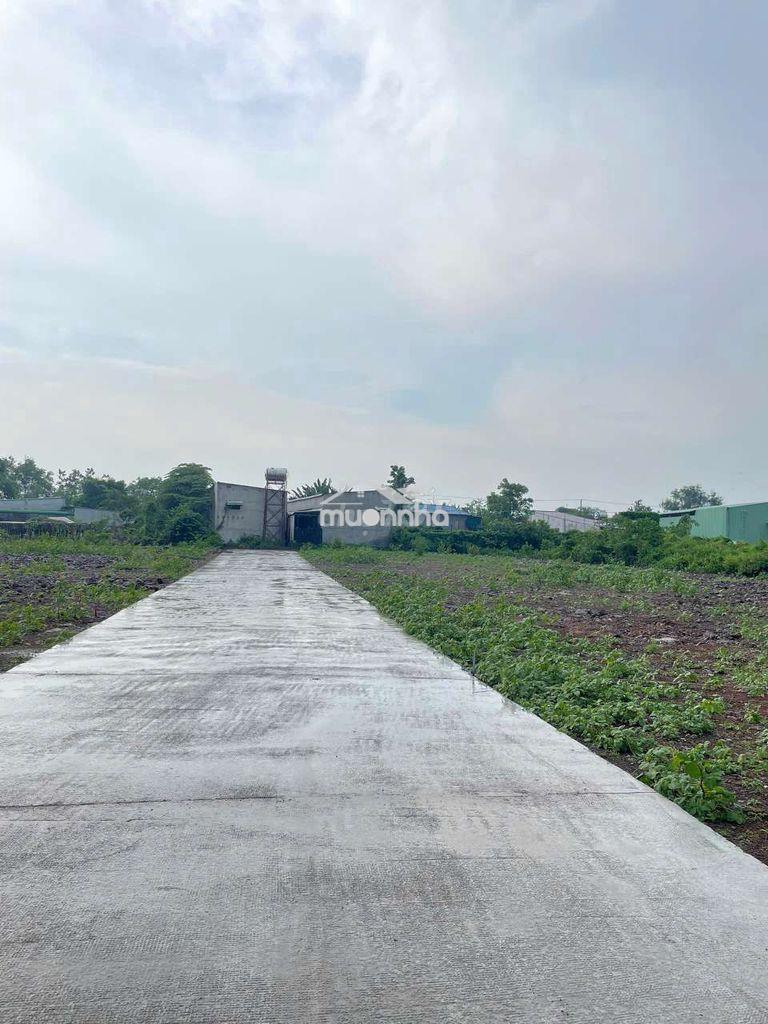 Đất trung tâm long khánh - 4
