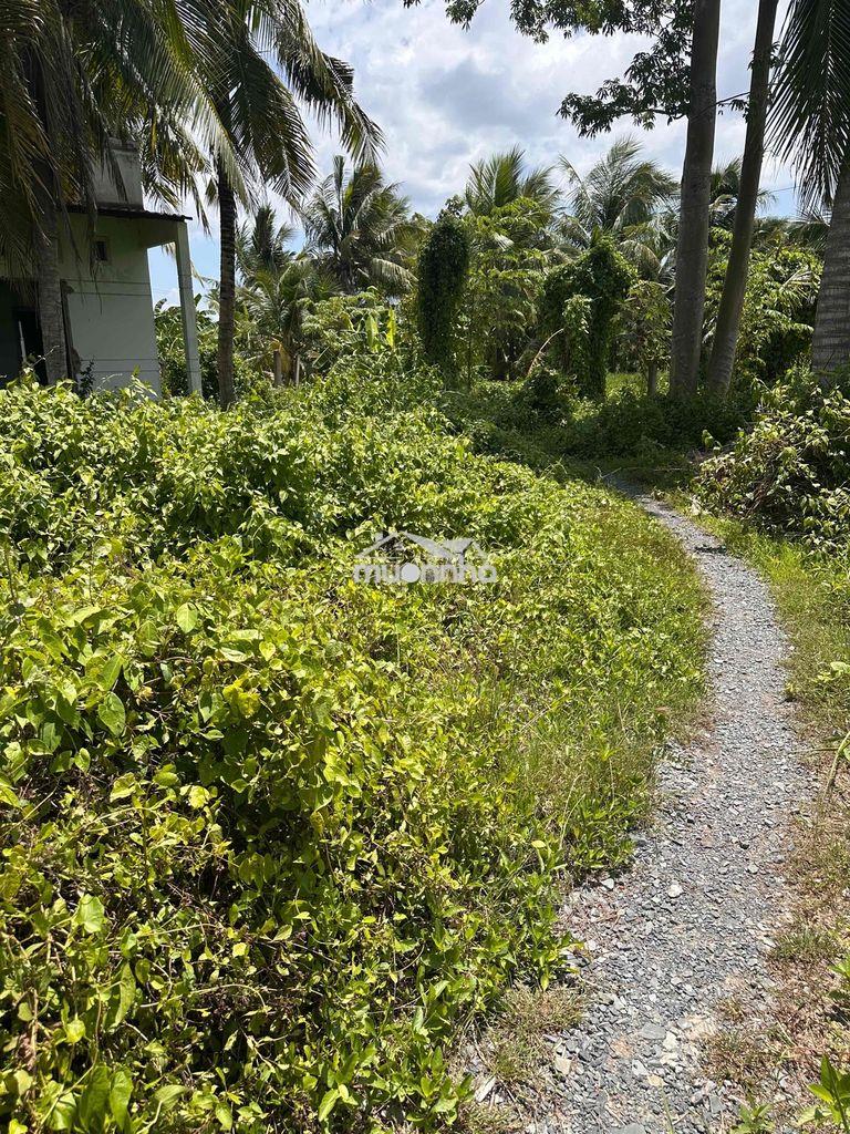 Bán đất phường phú tân - 4