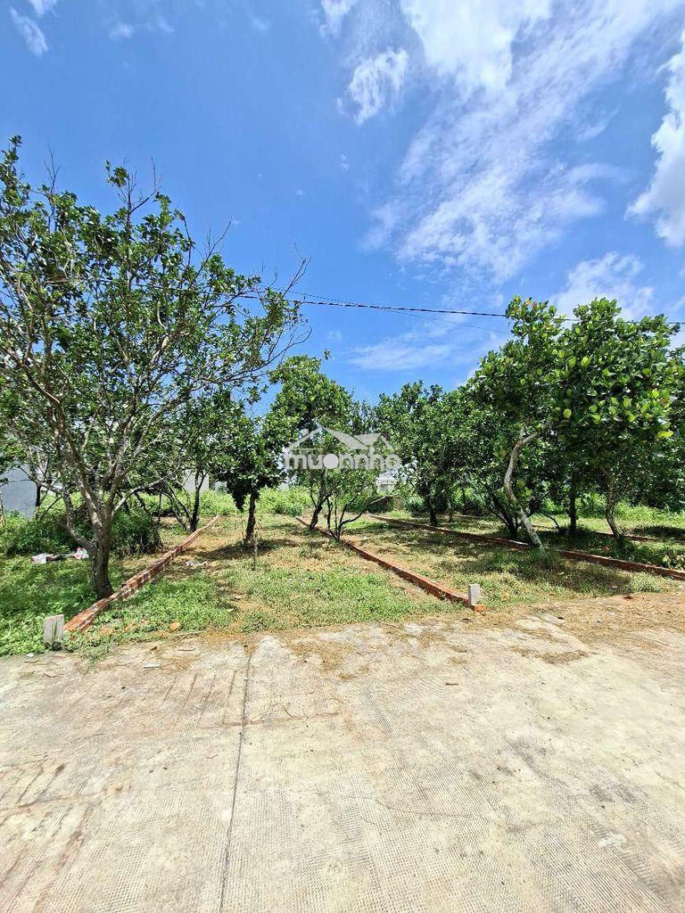 Đất gần chợ bình lộc và kcn , dân đông - 2