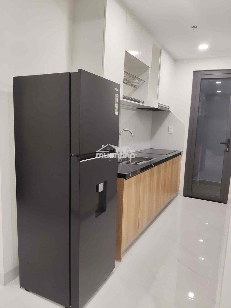 Cho thuê 2pn gần thành phố mới sân golf phú mỹ - 3