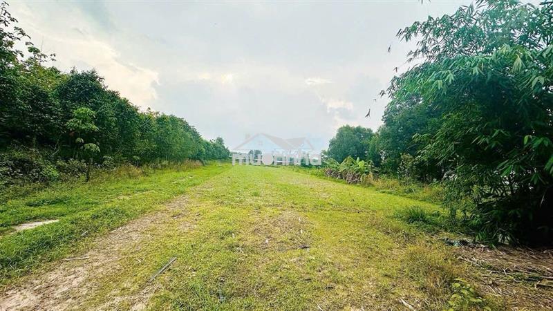 Đất vườn 5000m² 2 sổ riêng chính chủ - an nhơn tây củ chi - 6,8 tỷ tl