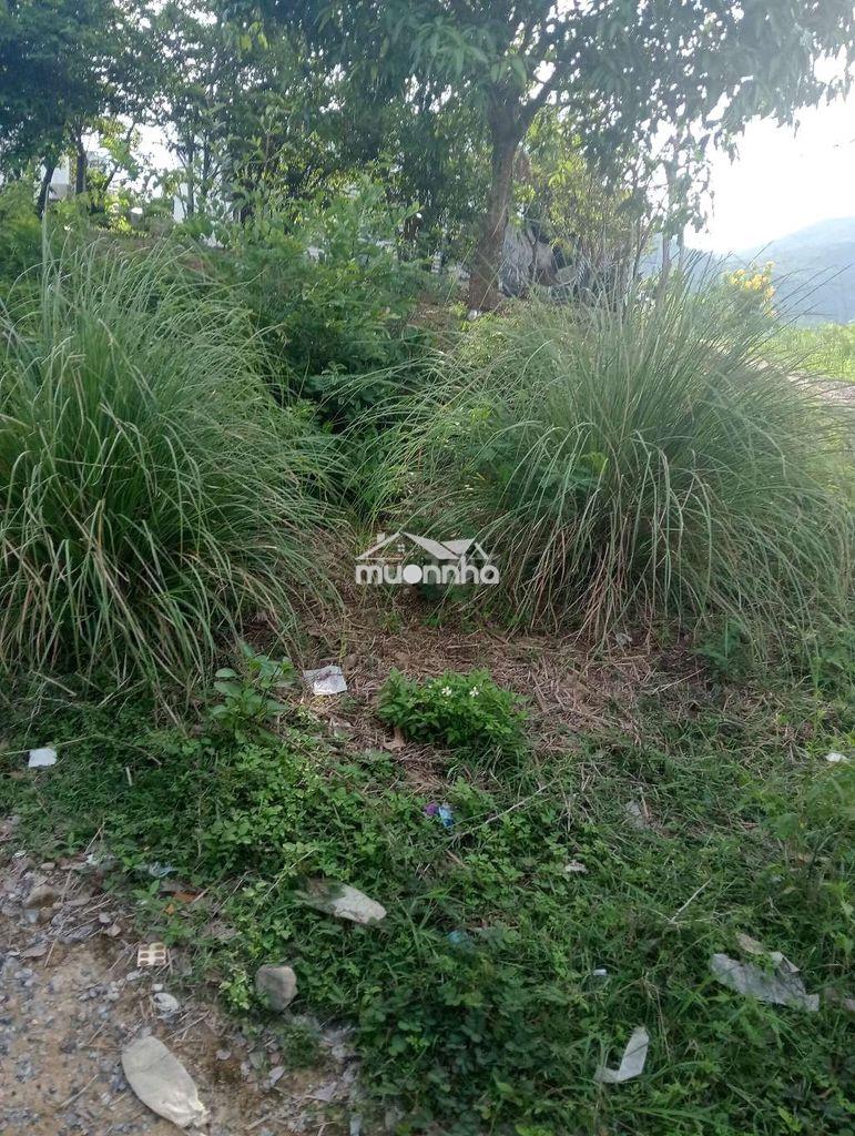 Cần tiền chữa bệnh cần bán gấp - 4