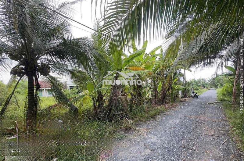 750m2 có 370m2 thổ cư mt đường kênh sáng xã lê minh xuân