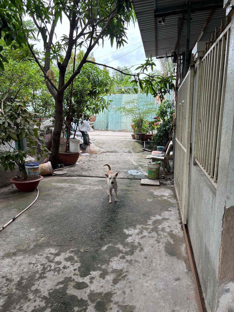 Nhà cho thuê căn 2tr5 (cọc 1tr) gần ngã 3 chợ nhơn đức - 4