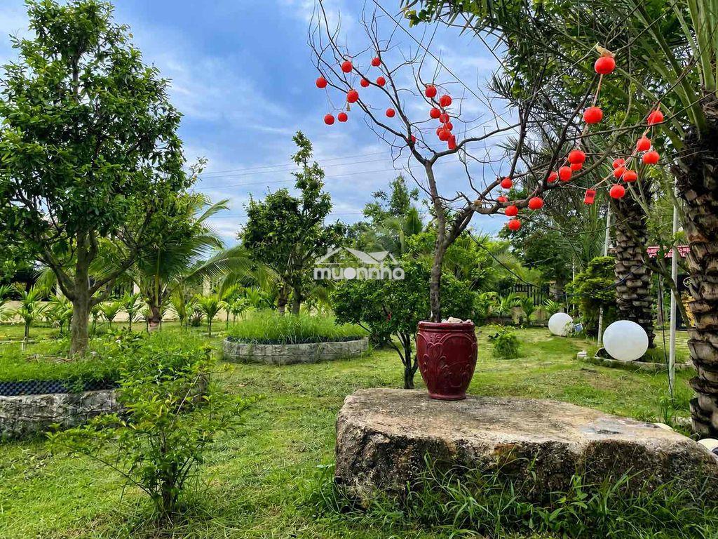 Đất vườn view nghỉ dưỡng - 4