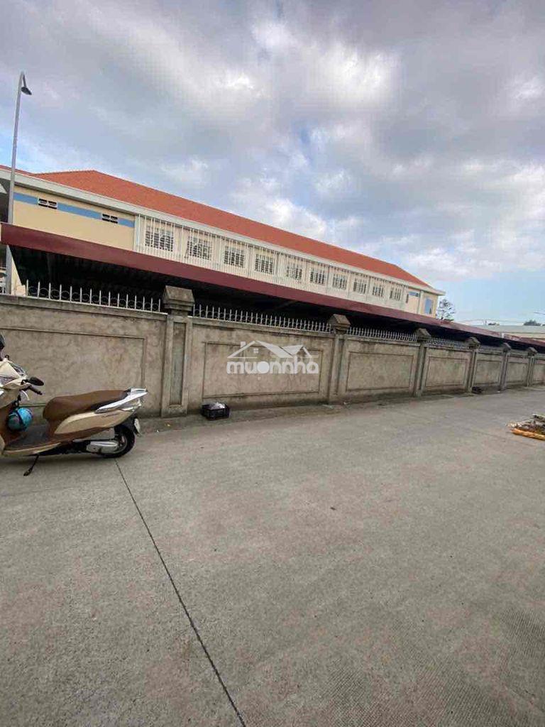Đất mặt tiền trường học cấp 1 tân phong mới, cách chợ 26 500m - 3