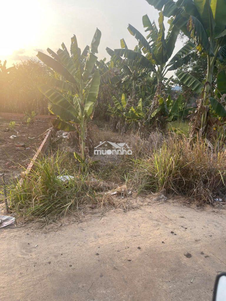 Bán đất chính chủ gia tân 2, thống nhất, đồng nai - 3