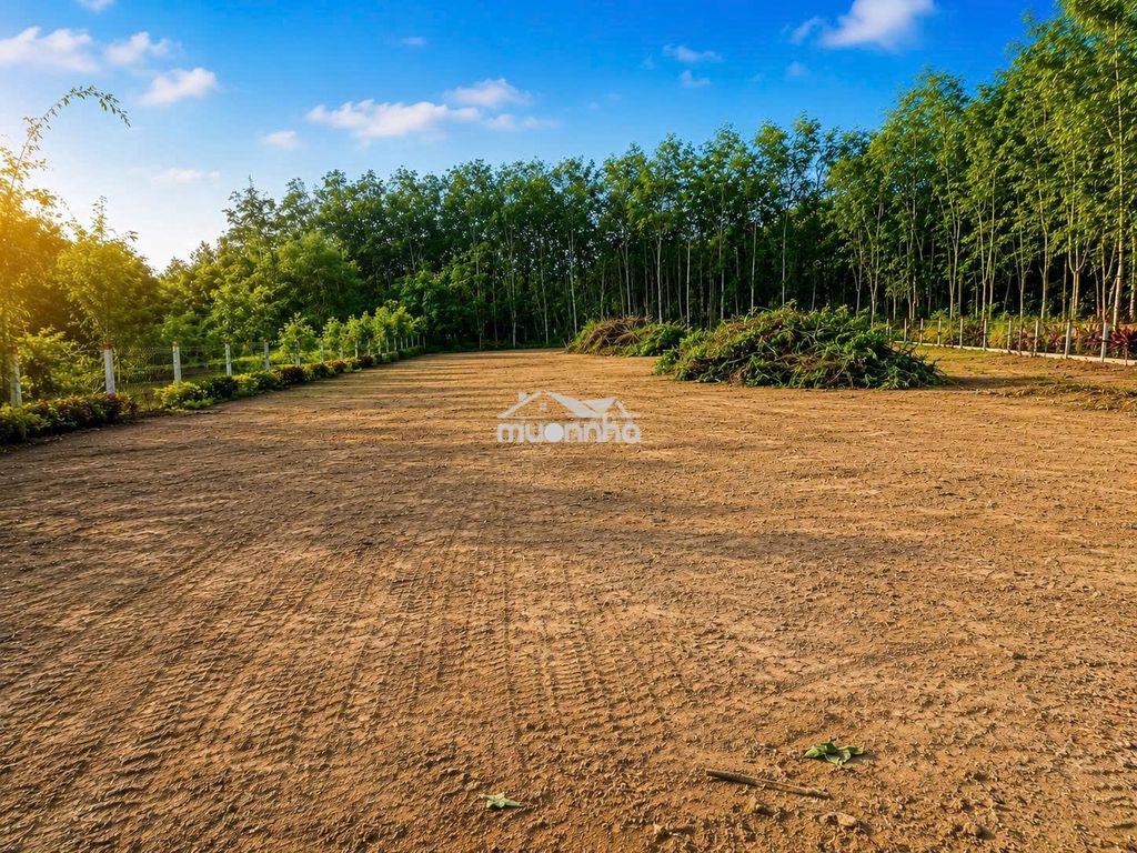 Đất góc 2 mặt tiền 1.200m² phú mỹ hưng, củ chi – chỉ 2 tỷ - 2