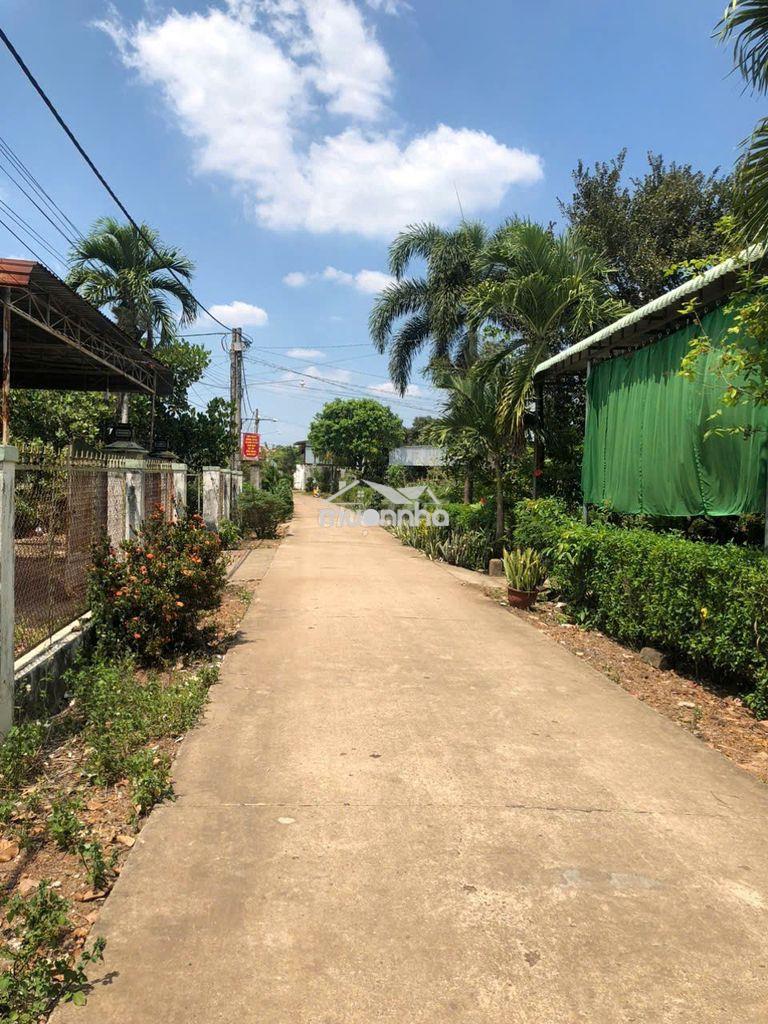 Chính chủ bán đất 2mt ( xuân tây cũ ), cẩm mỹ, cách dt765 chỉ 50m - 2