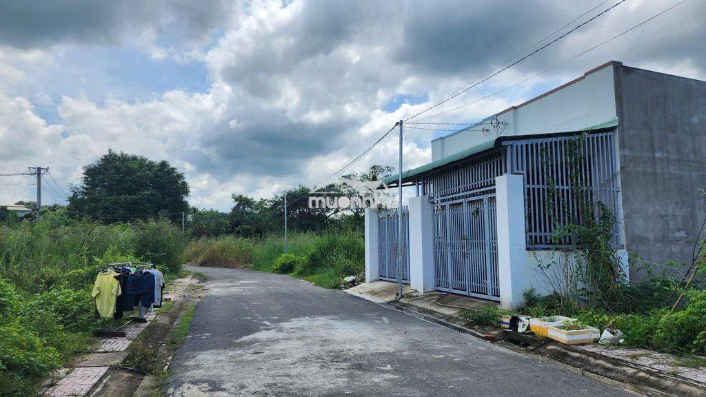 Siêu ngộp! 105m2, đất thổ cư, đường nhựa gần kcn bàu xéo và vđ4 - 2