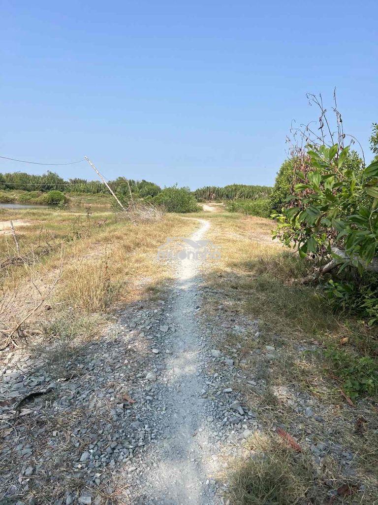 Giá 700 ngàn/m2 hẽm ô tô tại xã an thới đông, cần giờ, giá đầu tư